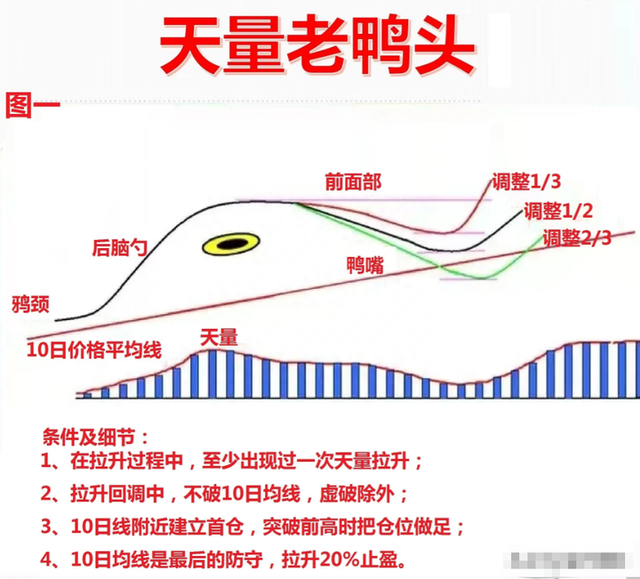 如何鉴别股市里的真正的高手？能做到这些，你自己就是炒股高手！