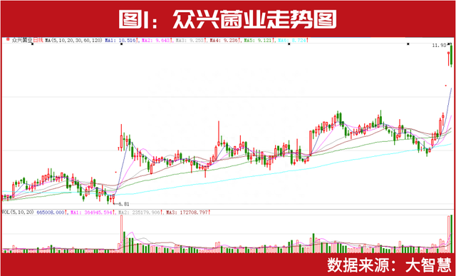 一季报出炉，就奔涨停！葛卫东、赵建平、林园等投资大佬持仓显现！外资高盛、阿布达比也早已布局其中……