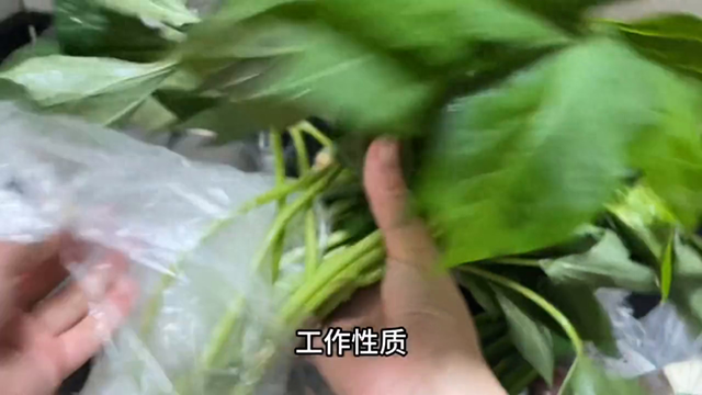 一家三口800伙食费的消费观是怎样的，一天消费不到10块钱买菜