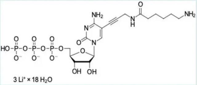 Amino-11-CTP具有氨基基团和CTP（三磷酸胞苷）骨架