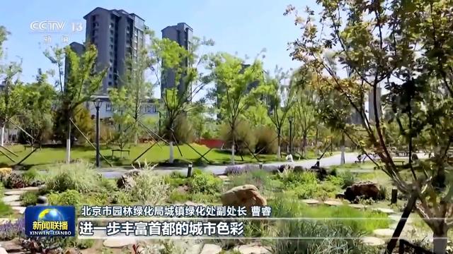 北京各类公园突破千个，满城春花让市民乐享自然之美