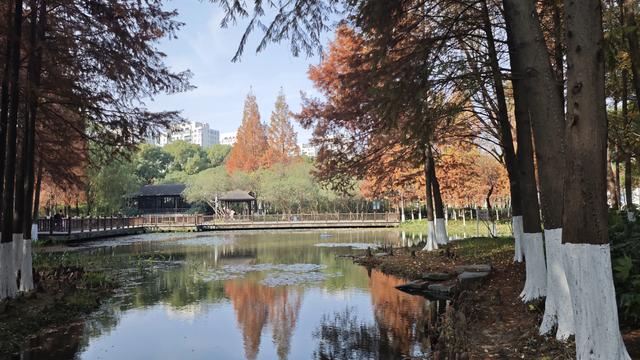 真正被惊艳到的宁波日湖公园