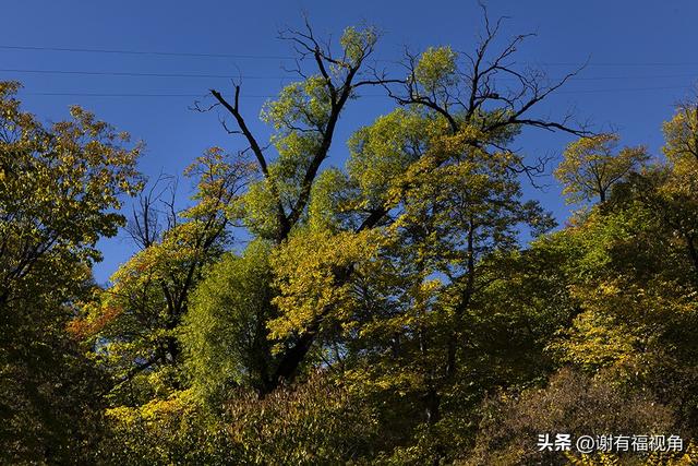 宣化柏林寺