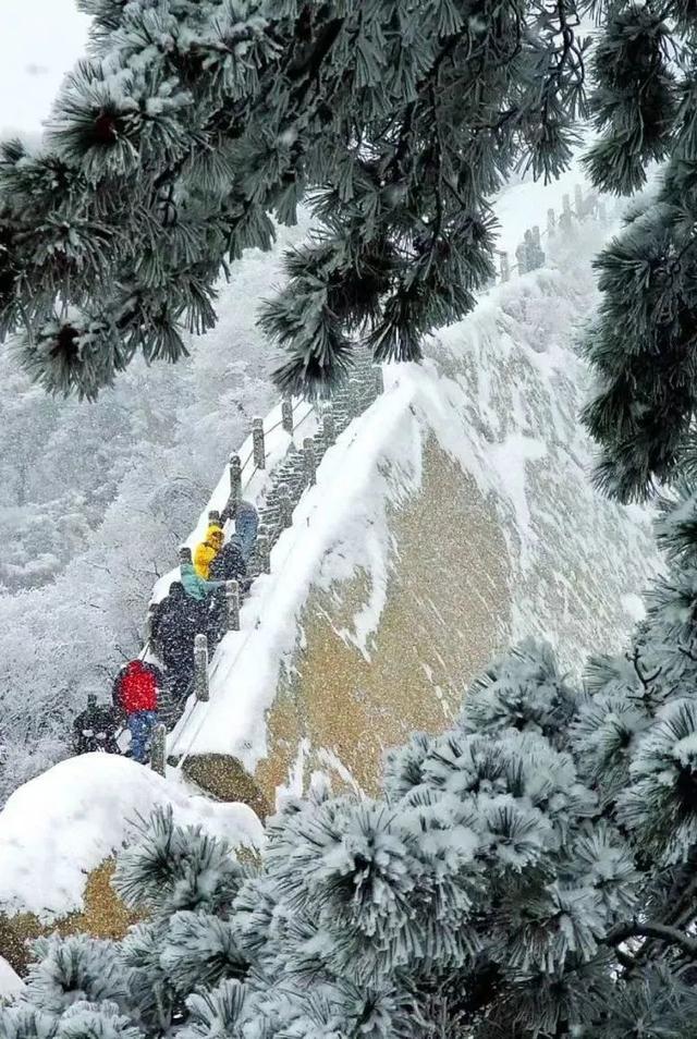 “踏雪寻梦•华山论剑”雪后初晴的华山五峰你最pick哪一个?