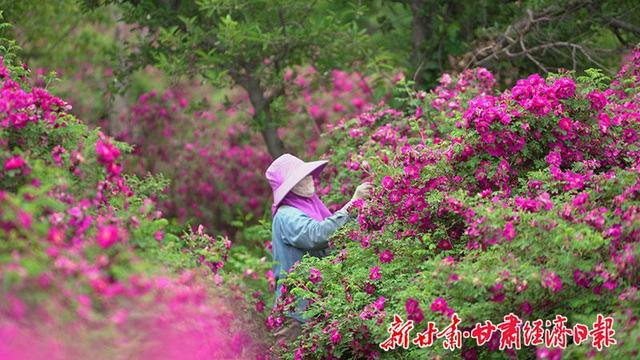 【食说新语】“热辣”甘肃，这些兰州特产让你甜在心头