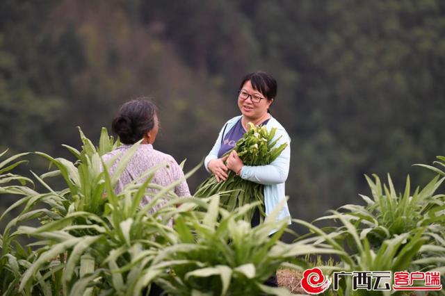 柳州融水苗家女杨宁获评“感动中国2022年度人物”